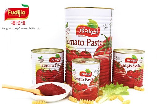 800g Canned Tomato Paste