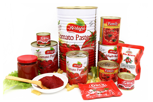 Factory Price Top Quality Fresh Canned Tomato Paste
