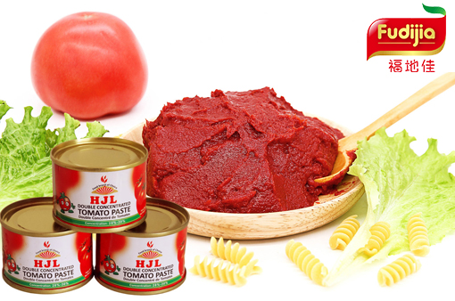 Canned tomato Paste 70g Easy Open Avaliable