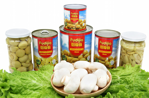 Canned Mushroom With High Quality And Good Price