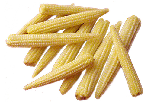 fresh canned baby corn in brine